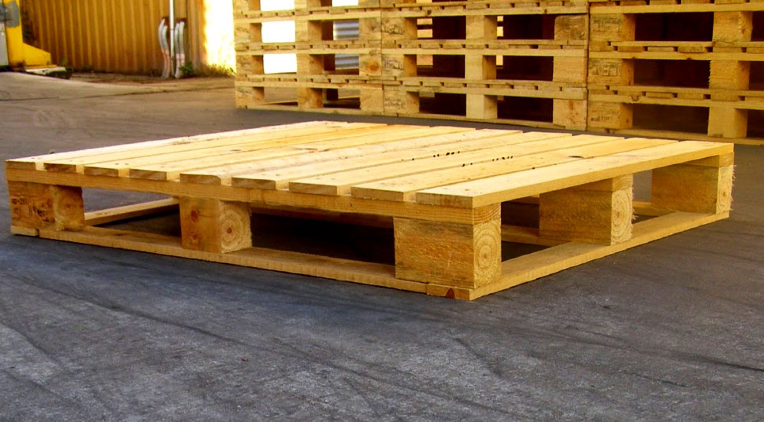 How to Prevent Mold from Growing on Your Wood Pallets